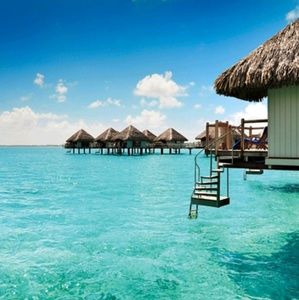 Meet your Posher, Kale